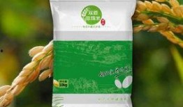 绿色大米爆料视频大全集