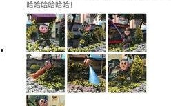 新闻晨报微博爆料,重大新闻事件引发社会关注