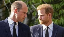 哈里王子爆料哥哥打他视频