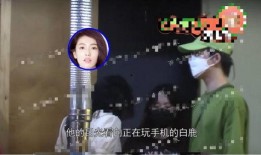 白鹿圈内人爆料视频,独家内幕大公开