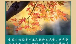 秋需在线观看,沉浸秋日美景，尽享视觉盛宴