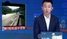 贵州2台直播在线观看,实时捕捉多彩贵州风情