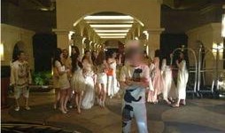 香草派对最新爆料网站,揭秘幕后真相与精彩瞬间