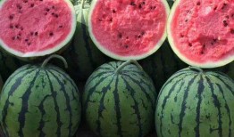 吃网红的瓜犯不犯法,吃网红瓜的法律边界