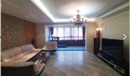 二手房最新爆料,最新爆料揭示价格波动与热门区域