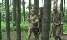 老杨最新爆料视频大全集