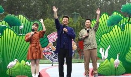 韩羽爆料斩虎视频大全最新,斩虎视频大全背后的惊心动魄故事