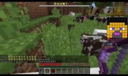 猎手在线观看,揭秘网络世界的神秘猎手