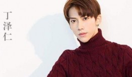 娱乐大爆料丁泽仁是谁,揭秘丁泽仁的星光之路