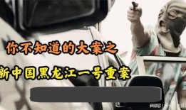 黑龙江十大爆料案件最新,揭秘背后惊心动魄的真相