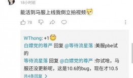 美测服最新爆料,揭秘游戏新内容与更新亮点