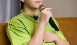 娱乐圈爆料王栎鑫是谁啊,揭秘王栎鑫的神秘身份