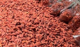 枸杞硫磺爆料视频播放下载