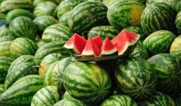 外国网红新瓜最新爆料,揭秘娱乐圈惊人内幕！