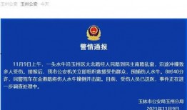 广西玉林新闻最新爆料,最新爆料揭示惊人内幕，事件真相即将揭晓