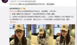 剪映新闻爆料怎么弄出来,如何轻松制作概述文章副标题