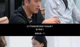 再见爱人爆料视频完整版,夫妻关系背后的真相与抉择