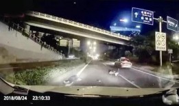 陇南热点爆料事件视频,视频揭露惊人真相，引发社会关注