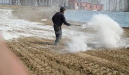 911爆料还能回来吗最新消息,能否回归仍存悬念