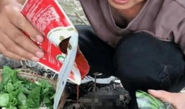 吃瓜网红跳舞是谁发明的,探究“吃瓜网红跳舞”的发明者与起源