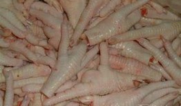 鸡爪养殖爆料视频大全集,视频大全集深度解析