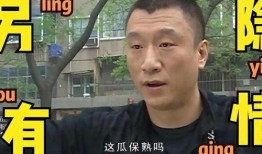 近日娱乐新闻爆料事件视频,最新爆料事件视频引发热议