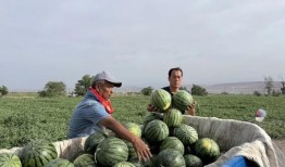 满堂吃瓜第一集免费观看,免费首播，揭秘娱乐圈风云