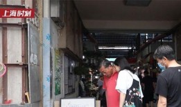 花鸟市场爆料案例视频,视频揭露惊人内幕，揭秘市场乱象