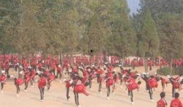 塔沟武校爆料事件视频,揭秘校园内幕