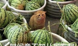 淄博吃瓜爆料事件视频,一场网络视频引发的全民热议