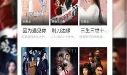 美国生活爆料视频播放下载,热门爆料视频播放下载攻略