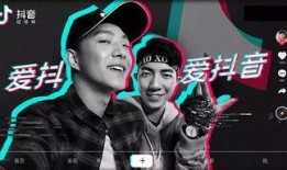 抖音爆料富豪事件视频大全,揭秘网络红人财富传奇