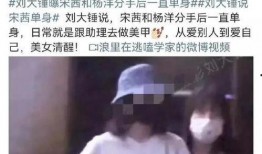 刘大锤爆料宋茜视频播放,引发网友热议