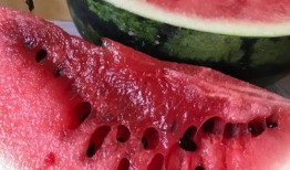 新沂新瓜最新爆料,揭秘最新爆料背后的惊人真相