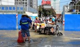 南宁市爆料新闻,XX事件引发关注，详情揭晓！