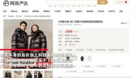 爆料大鹅解说视频网易,网易爆款背后的秘密