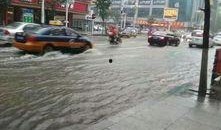 通化爆料最新信息网,最新信息网揭示城市动态与民生热点