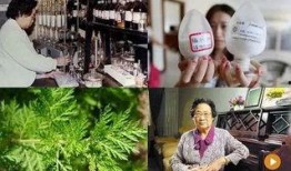 在线观看2017伦理,网络观看时代的道德挑战与反思