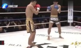 崇阳最新爆料新闻视频播放,视频揭秘惊人内幕，真相令人震惊！