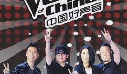 好声音导演柳俪爆料视频