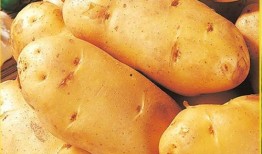 云水怒在线观看土豆网,激情燃烧的武侠世界等你探索