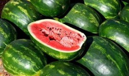 旅游吃瓜视频素材大全免费,揭秘旅游吃瓜视频素材大全