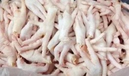 鸡爪养殖爆料视频大全集,视频大全集深度解析