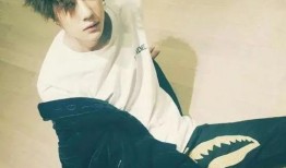 六大锤爆料王一博视频,六大锤揭秘背后真相