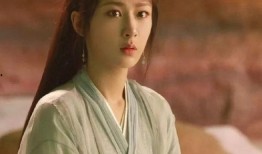 杨紫最新爆料律师,揭秘娱乐圈背后法律维权真相