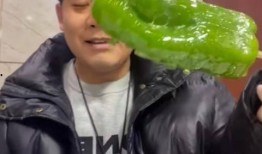 即墨网红吃瓜事件视频最新,真相揭秘，网络舆论的漩涡与反思