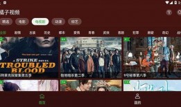 知名八卦爆料视频大全下载,知名八卦爆料视频大全深度解析