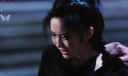 莲香西欲在线观看,一场跨越时空的浪漫邂逅