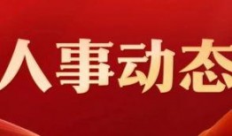 正观新闻爆料电话,揭秘新闻爆料背后的故事