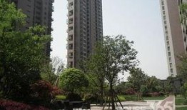 杭州东方郡爆料最新消息,揭秘神秘项目背后的真相